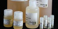 Binding Site Features Biological Materials with Emphasis on Torch Testing Applications
