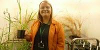 Discovery of a Bottleneck Relief in Photosynthesis May Have a Major Impact on Food Crops