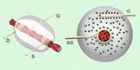 Engineers Make Transistors and Electronic Devices Entirely from Thread