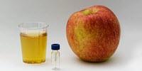 Food Quality Control Made Faster and Easier