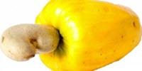 Green Chemists Find a Way to Turn Cashew Nut Shells into Sunscreen