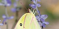 How UV-Vis Devices Reveal More of Nature