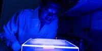 Making Microbes That Transform Greenhouse Gases