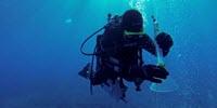 Monitoring CO2 Leakage Sites on the Ocean Floor