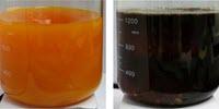 Natural Gas Storage Research Could Combat Global Warming