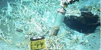 New Microbe Degrades Oil to Gas