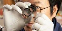 New Pharmaceutical Target Reverses Osteoporosis in Mice