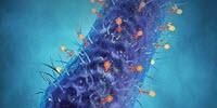 New Quantitative Method Standardizes Phage Virulence Determination