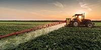 Pesticide Residue Testing
