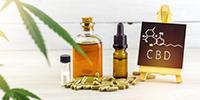 Research Brief: High Fat Foods Can Increase CBD Absorption into the Body