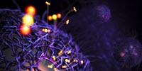 Scientists Create Artificial Catalysts Inspired by Living Enzymes