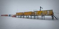Stardust in the Antarctic Snow