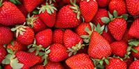 Strawberries May Be Key To Developing an Insulin Pill