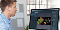 Thermo Scientific Avizo2D Speeds Up Image Analysis with Automated, Reproducible Workflows