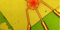 Unique Electrical Properties in Quantum Materials Can Be Controlled Using Light