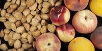 Almond & Peach Trees' Genomes Shed Light on the Differences between These Close Species