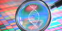 DOJ Announces Guidelines for the Use of Forensic Genetic Genealogy in Solving Crimes
