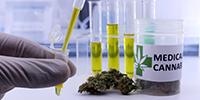 European Medical Cannabis Company Expands Its Research Collaboration with Imperial College London