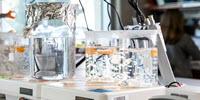 FDA Phase 1 Trial Shows Hydrogel to Repair Heart Is Safe to Inject in Humans—a First