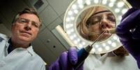 Forensic Proteomics, a New Tool for Crime Labs and Anthropology
