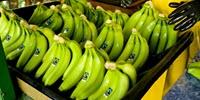 Impact of Climate Change on Global Banana Yields Revealed
