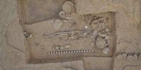 Largest-Ever Ancient-DNA Study Illuminates Millennia of South and Central Asian Prehistory