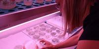 New Function in a Protein of Plants Essential to Developing Drought-Tolerant Crops