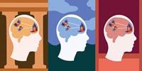 New Study Points to Universal Code in Our Brains for What We Find Beautiful