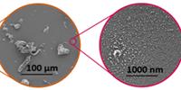Plastic Teabags Release Billions of Microscopic Particles into Tea