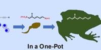 Researchers Develop Chemical Reaction Method for More Efficient Drug Production
