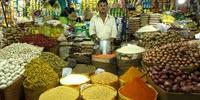 Researchers Find Lead in Turmeric