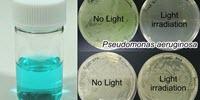 Researchers Find Way to Kill Pathogen Resistant to Antibiotics