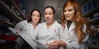 Researchers Move beyond Sequencing and Create a 3D Genome