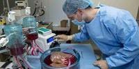 Scientists Triple Storage Time of Human Donor Livers