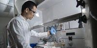 Selenium Anchors Could Improve Durability of Platinum Fuel Cell Catalysts