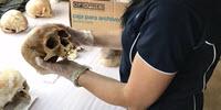 Time-Lapse Imaging Gives Forensic Scientists a New Perspective on the Movements of Decomposing Bodies