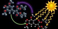 'Flamenco Dancing' Molecule Could Lead to Better-Protecting Sunscreen