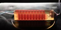 3D-Printed Device Finds ‘Needle in a Haystack’ Cancer Cells by Removing the Hay