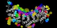 AI Reveals Nature of RNA-Protein Interactions