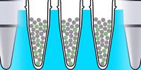 Bio-Rad Launches dd-Check STEC Solution for Food Safety Testing