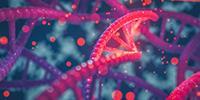 CRISPR-BEST Prevents Genome Instability