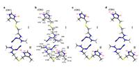 Elucidating Novel Crystalline Structures with Electron and NMR Crystallography