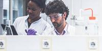From Paper to Pixels: The Future of Collaboration and Discovery Is Bright