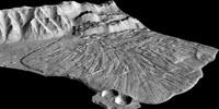 Martian Landslides Not Conclusive Evidence of Ice