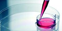 New Cell Culture Inserts for Use in Multi-well Plates