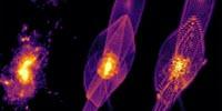 New 'Fuzzy' Dark Matter Research Disrupts Conventional Thinking