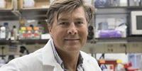 New Organelle That Helps Prevent Cancer Discovered in Our Cells