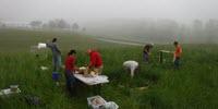 Researchers Find Multiple Effects on Soil from Manure from Cows Administered Antibiotics