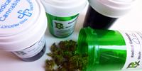 Researchers to Study Medical Cannabis and Chronic Pain