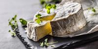 Taming the Wild Cheese Fungus
